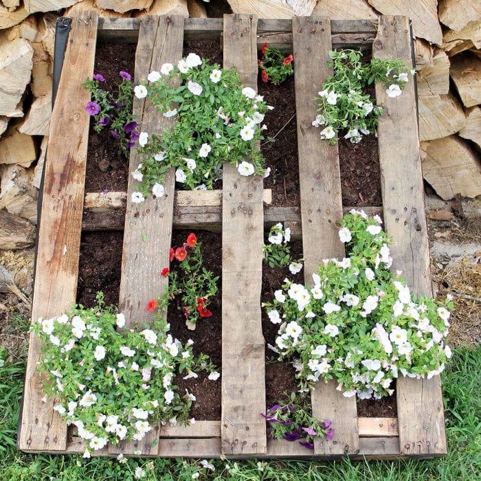 pallet garden with flowers planted inside