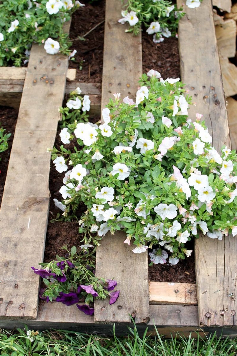 how to plant flowers in a vertical garden