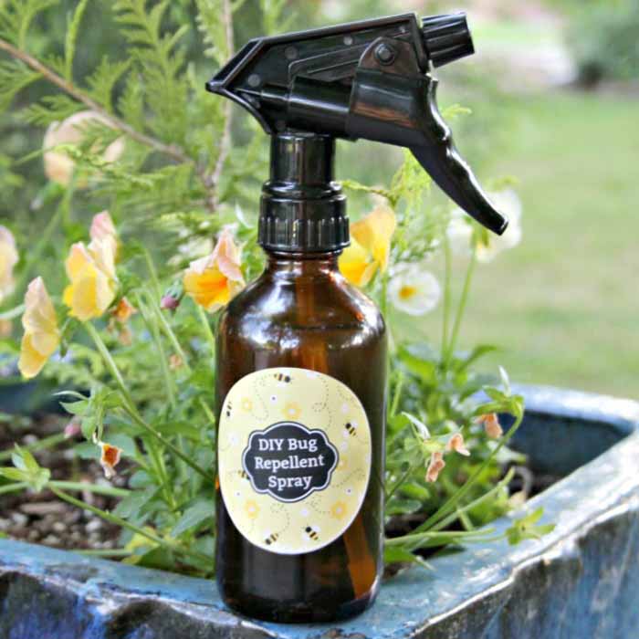Whip up this essential oil insect repellent and add to a spray bottle! You can even add our free printable label! This all natural bug spray recipe really works for repelling mosquitoes and more!