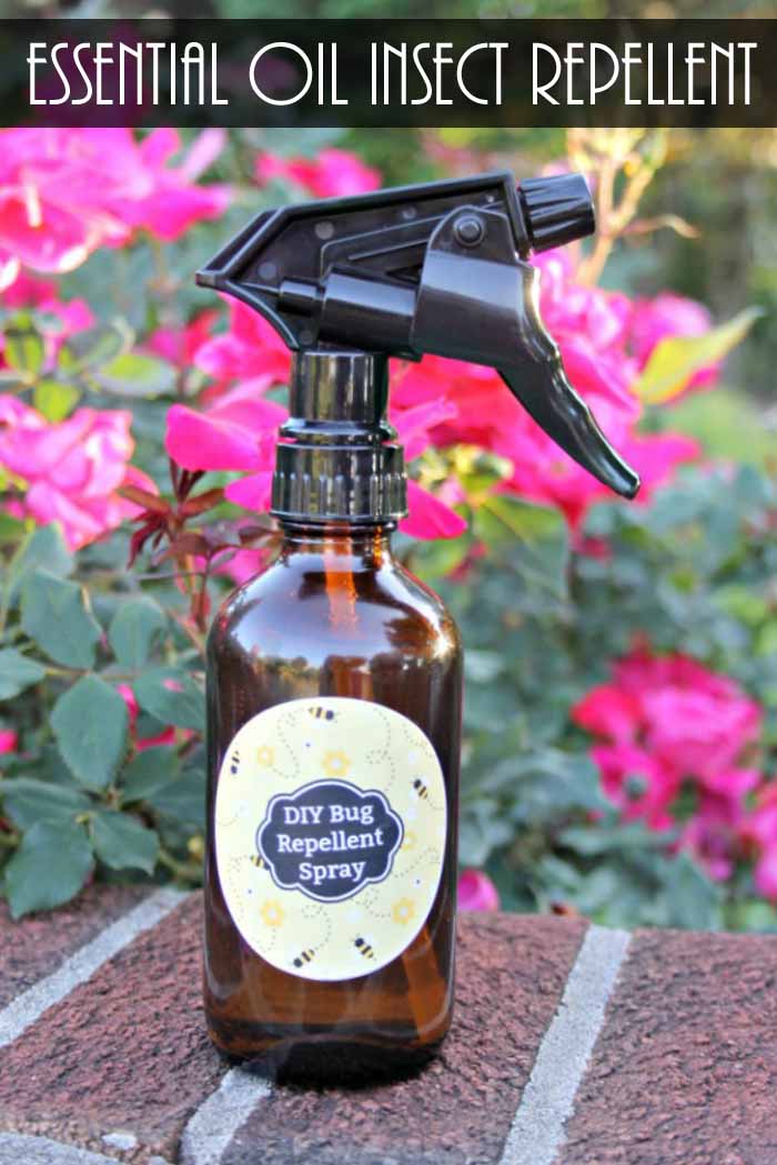 essential oil bug spray