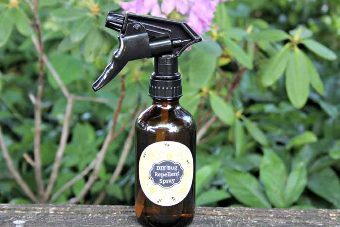 Whip up this essential oil insect repellent and add to a spray bottle! You can even add our free printable label! This all natural bug spray recipe really works for repelling mosquitoes and more!