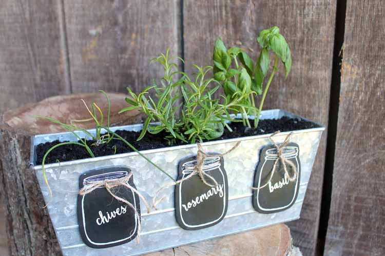 mason jar herb planter