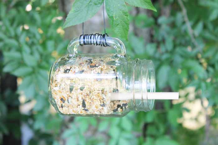 Petmate mason jar feeder online