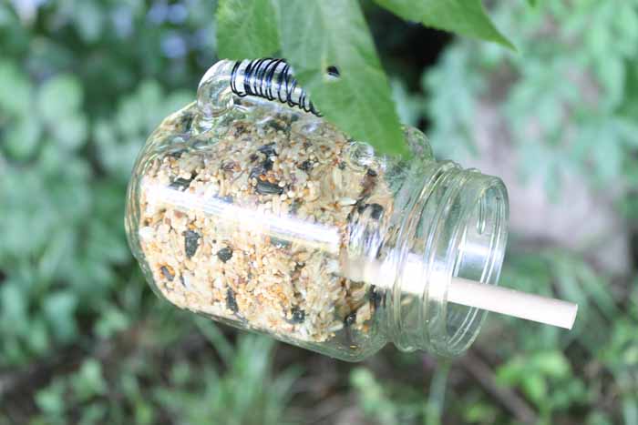 You can make this adorable DIY mason jar bird feeder in just a few minutes and it's a great addition to your backyard or front porch