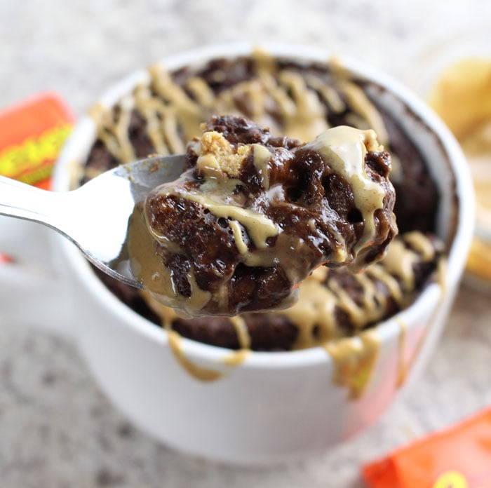 reeses peanut butter cup mug cake