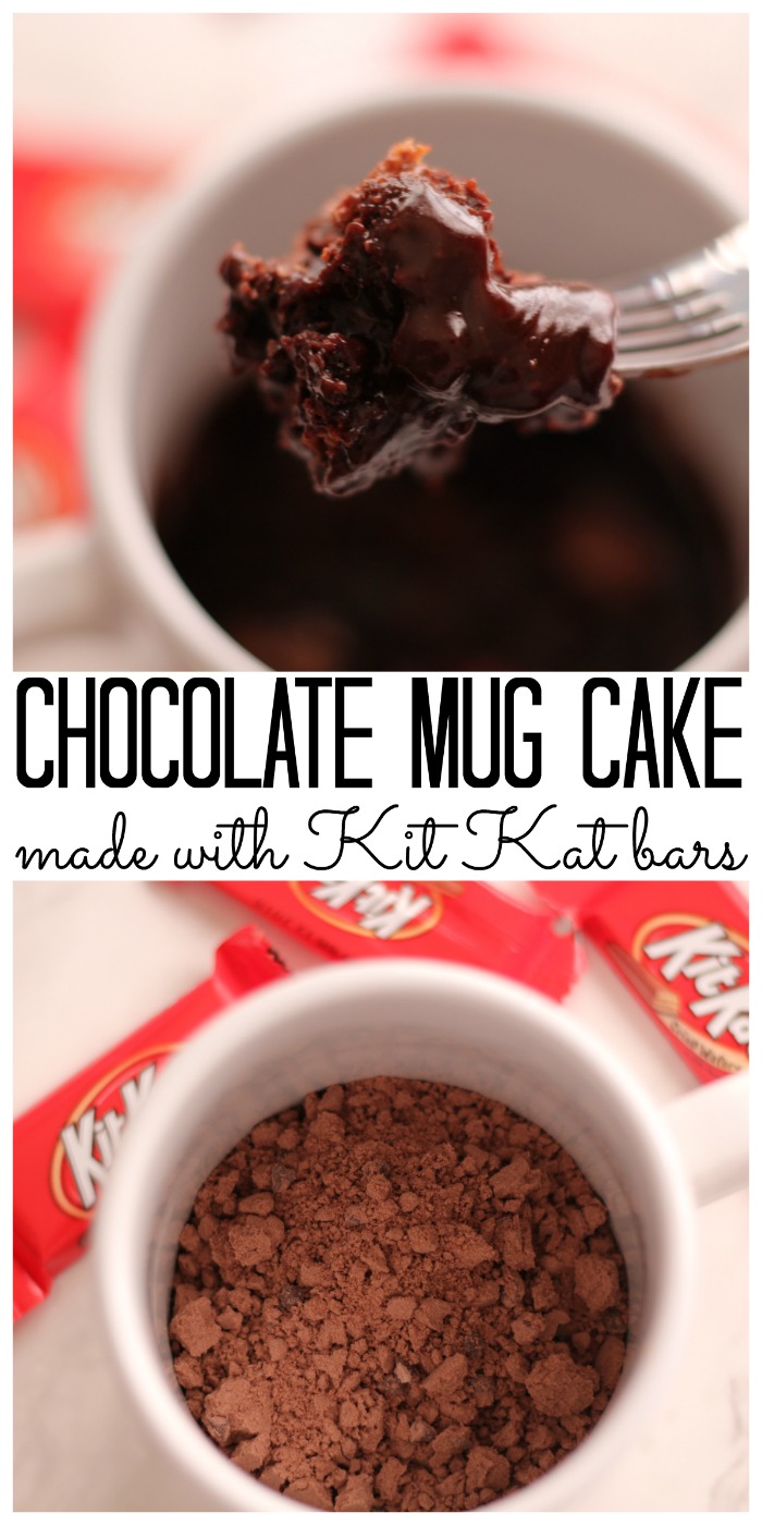 best chocolate mug cake