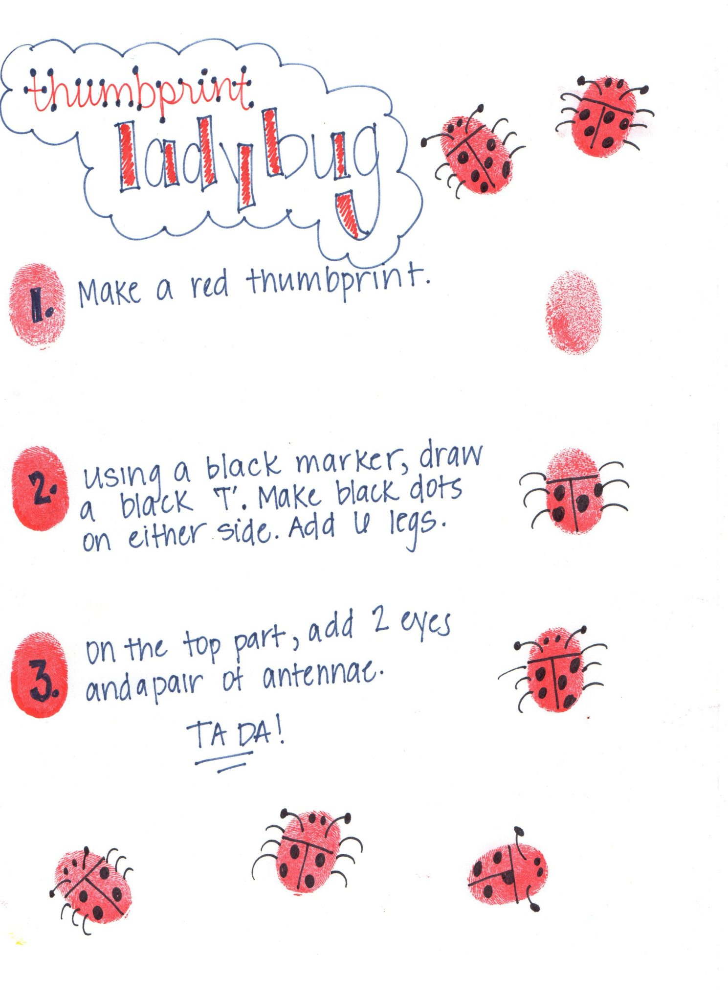 how to draw a fingerprint ladybug graphic