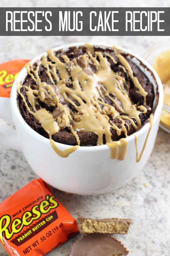 mug cake recipe