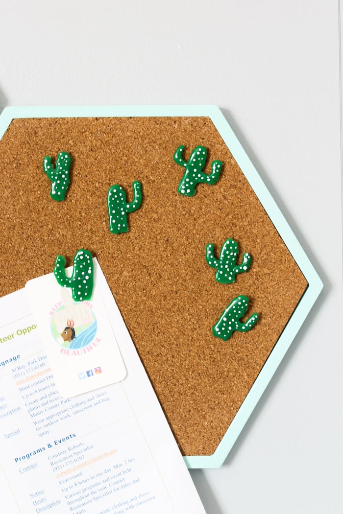 cactus push pins on a cork board