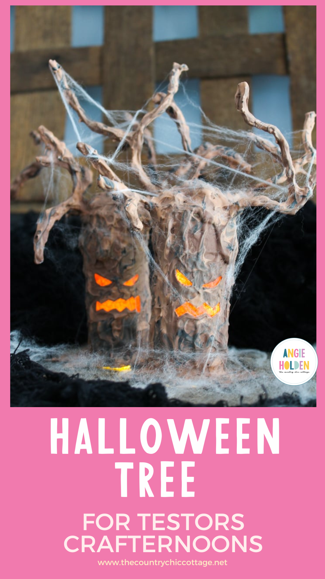 Pinterest Hidden Image