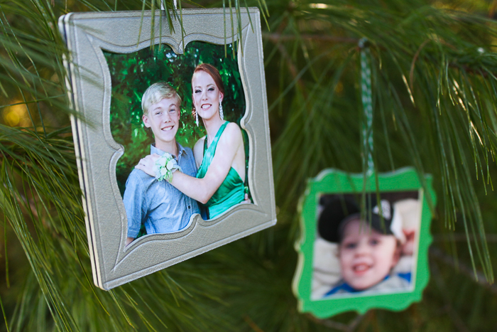 frame ornaments on a tree