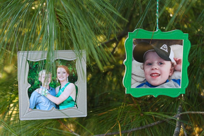 picture frame ornaments