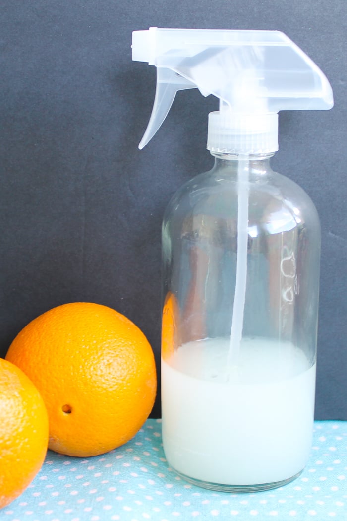 homemade citrus air freshener