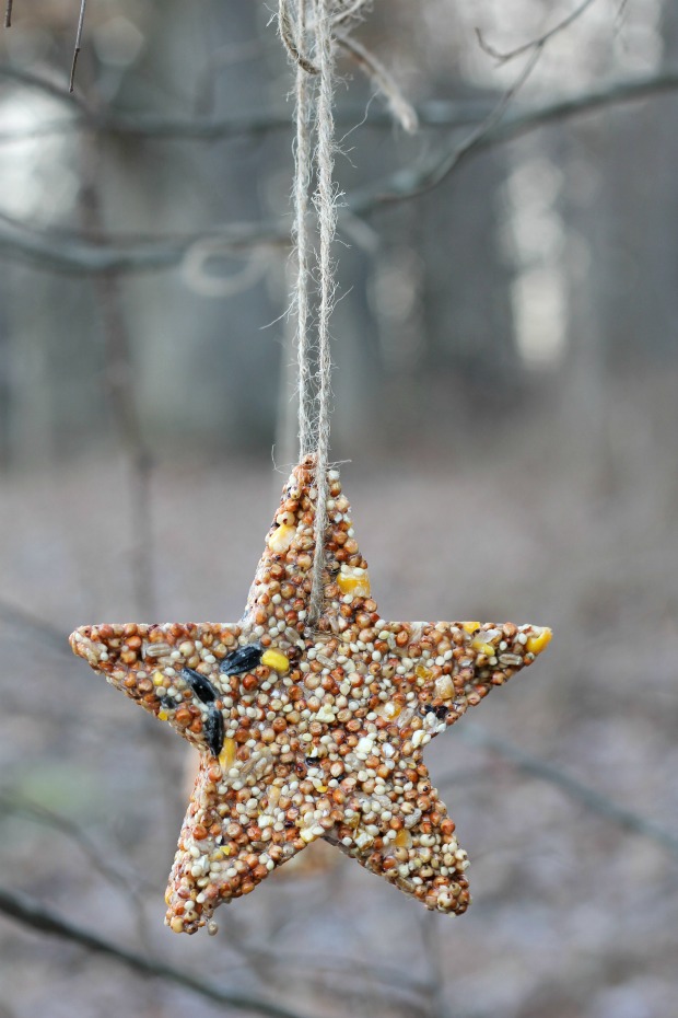 star bird feeder