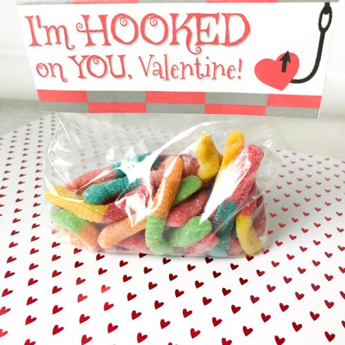hooked on you valentine treat bag