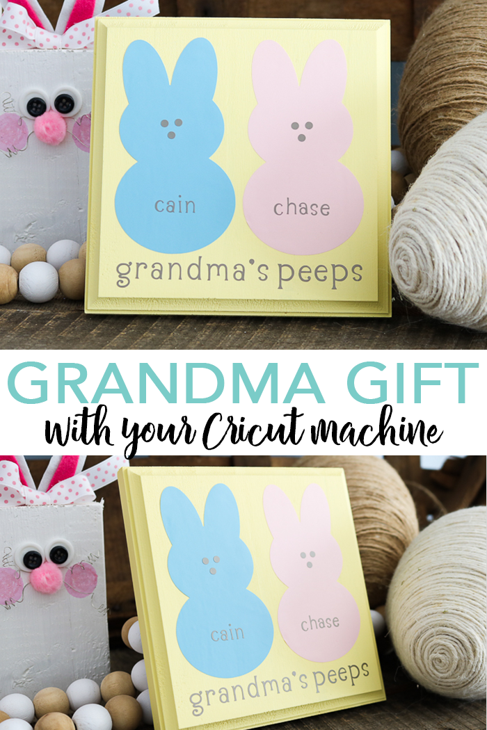 Pin image  with text overlay saying "DIY Grandma Gift with your cricut machine"