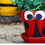 Pinterest Hidden Image