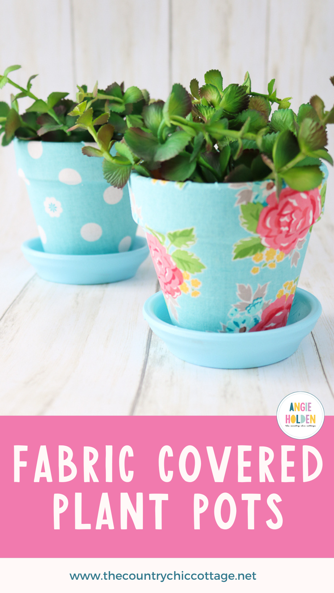 Pinterest Hidden Image