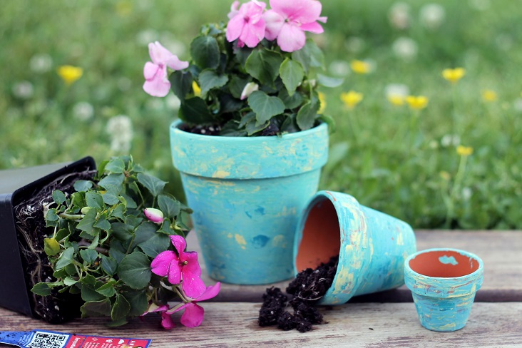 Container Garden Ideas Perfect for Summer - The Country Chic Cottage
