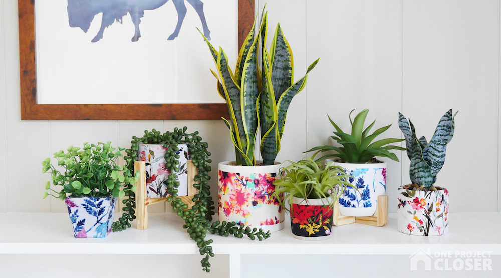 plants in decoupage planters