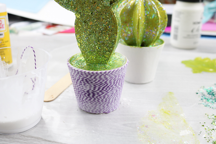 Allowing cactus pot to dry