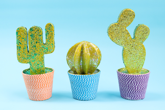 Completed DIY cactus decor