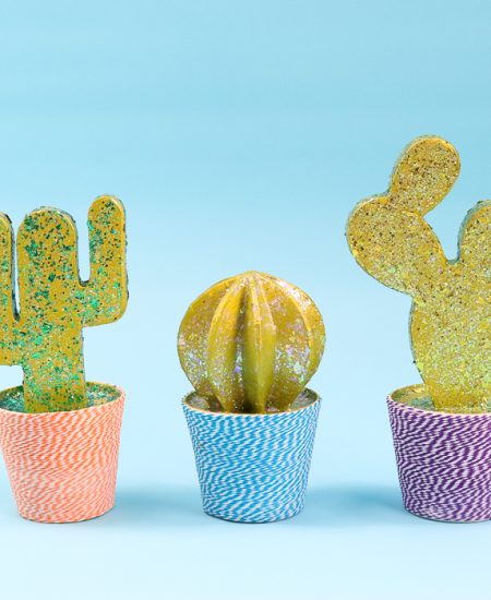 Cactus room decor perfect for a teen's room!