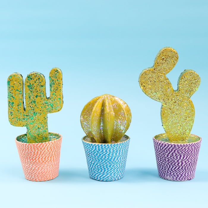 Finished DIY cactus room decor