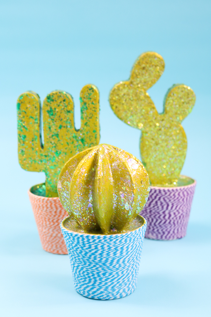 DIY cacti close up