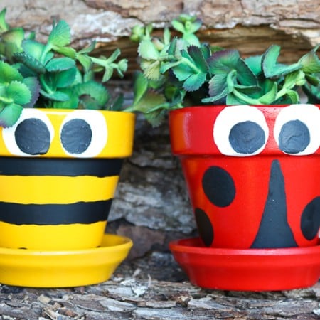 Decoration ideas for pots including how to paint to look like a bee and ladybug.