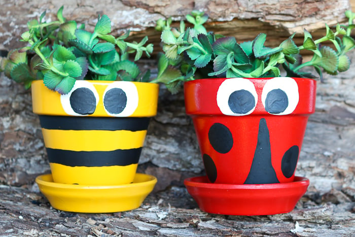 Bee painted flower pot and lady bug version painted with greenery inside.