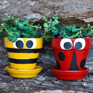 Ladybug and bee pot decoration ideas that are easy to paint at home!