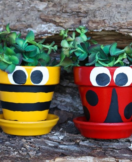 Ladybug and bee pot decoration ideas that are easy to paint at home!