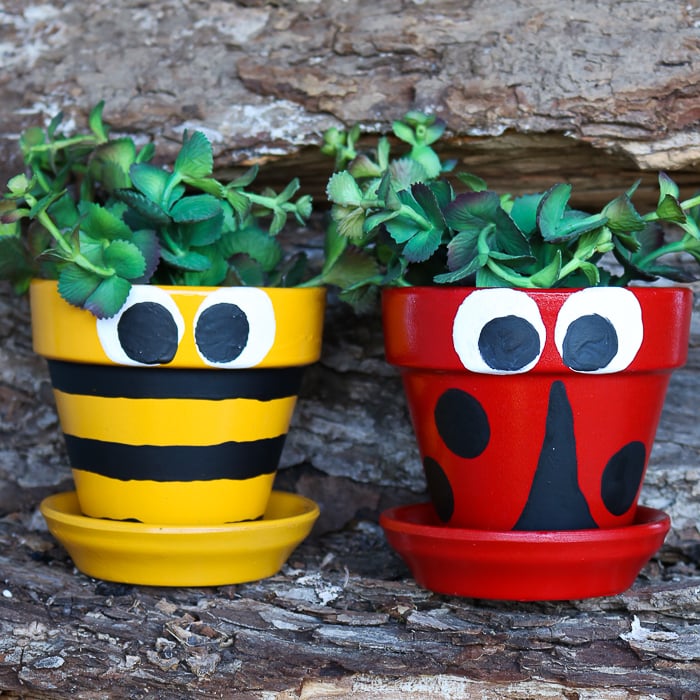 Ladybug and bee pot decoration side by side
