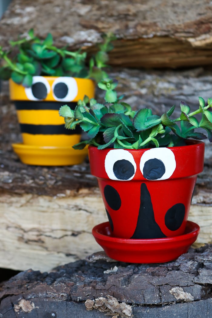 lady bug and bee flower pot