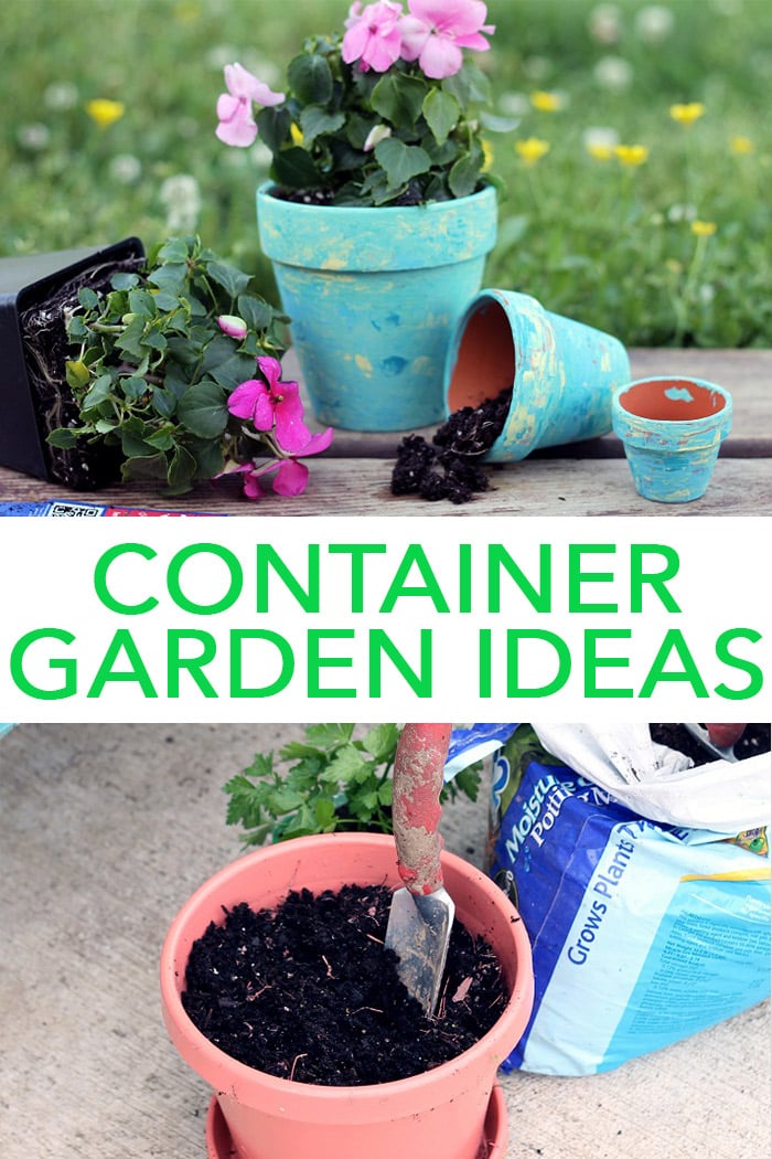 Try these container garden ideas around your home! From planters to soil and decorations as well, we have everything you need to start your own! #garden #gardening #plants