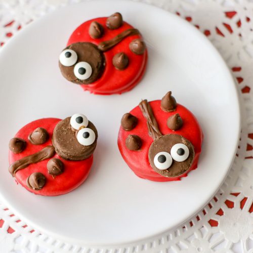 Ladybug decorated cookies on a white plate