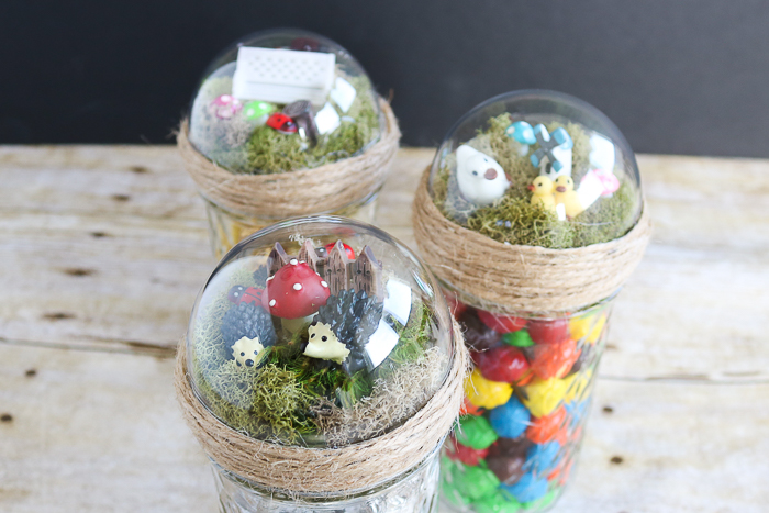 mason jar gift ideas with a small fairy garden on top under a dome