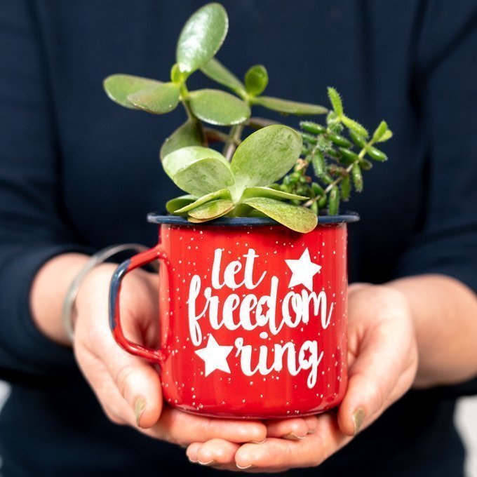 let freedom ring mug