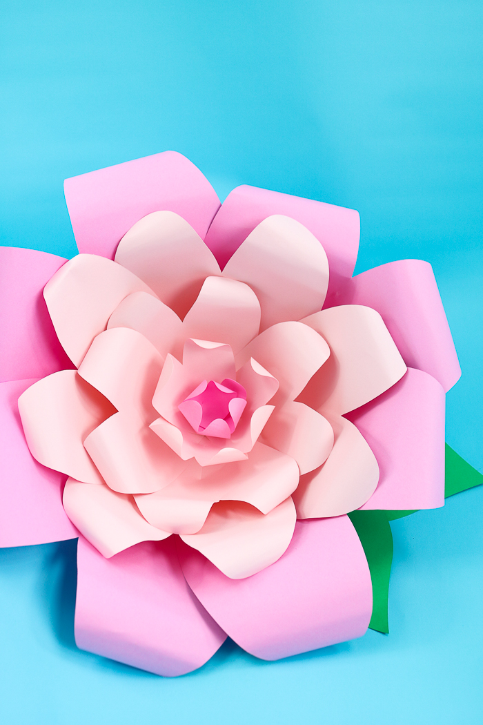 These giant paper flowers are an easy Cricut craft that adds a pop or color to your party decor