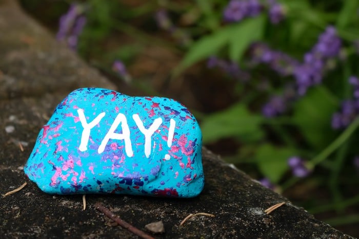 painting rocks dollar store