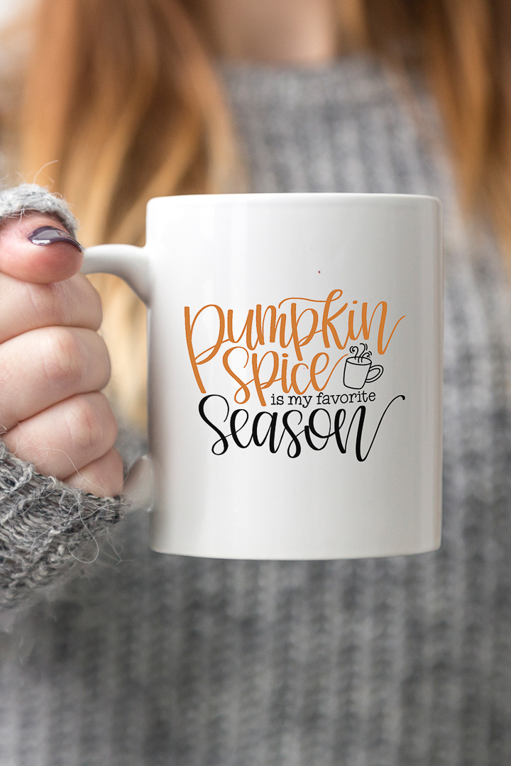 pumpkin spice season svg