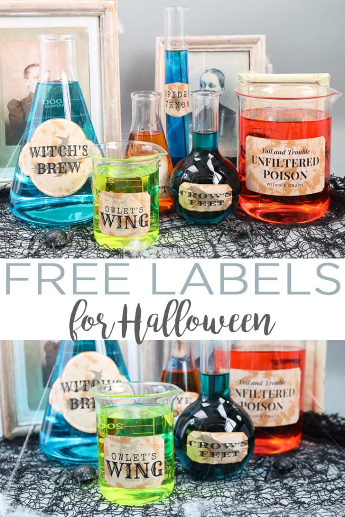 Get these free printable Halloween labels and add them to some glass containers for some spooky Halloween party decor! Add in drinks or just set these on your mantel! #halloween #halloweenparty #halloweencraft #halloweendecor #printable #free #freeprintable