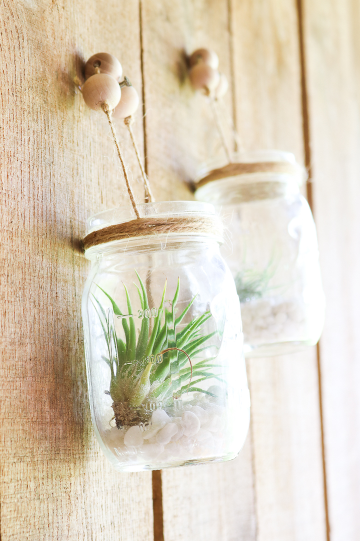 air plant holders