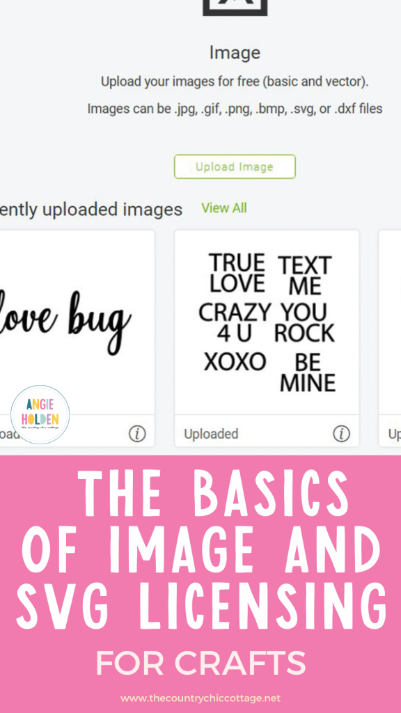 basics of image and SVG licensing