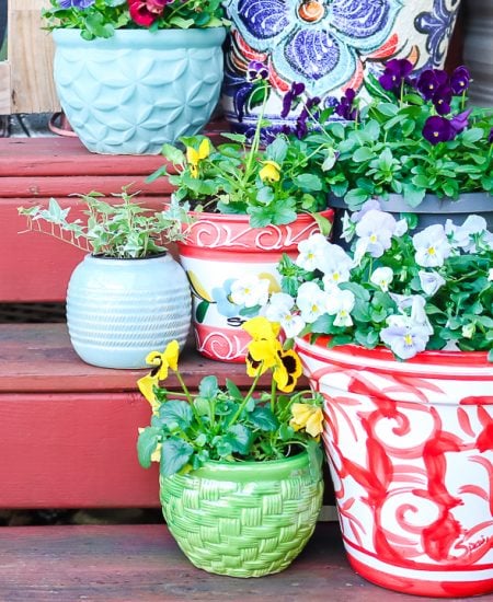 different sizes of planters