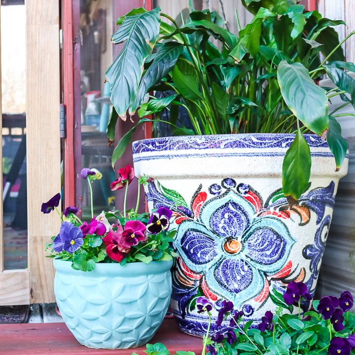 colorful planters