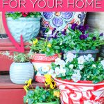 Nos idées de jardinières sont parfaites pour votre maison! Du plus grand au plus petit, ajoutez des jardinières à votre terrasse, véranda ou terrasse pour faire pousser quelque chose d'incroyable ce printemps et cet été! #otp #otpfinds #planters #garden #gardening