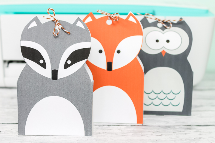 woodland animal gift bags