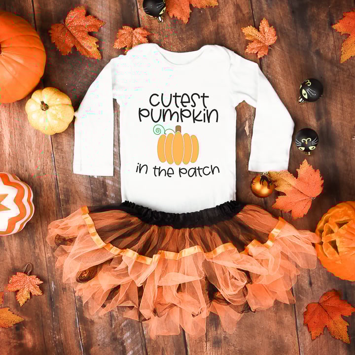 pumpkin patch svg